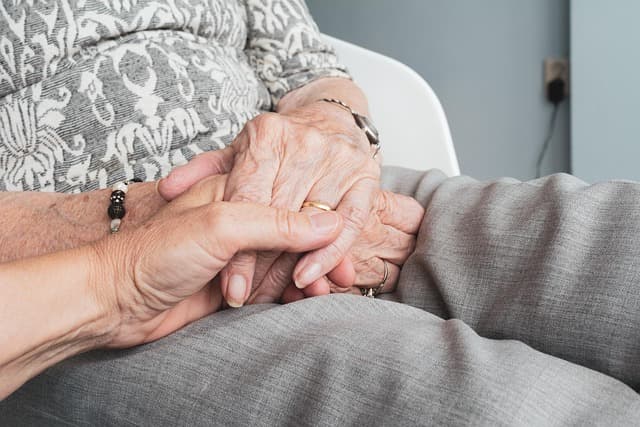 Complete Guide to Senior Dog Care