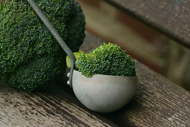 Vegan Meal Ideas for Athletes: Fuel Your Performance